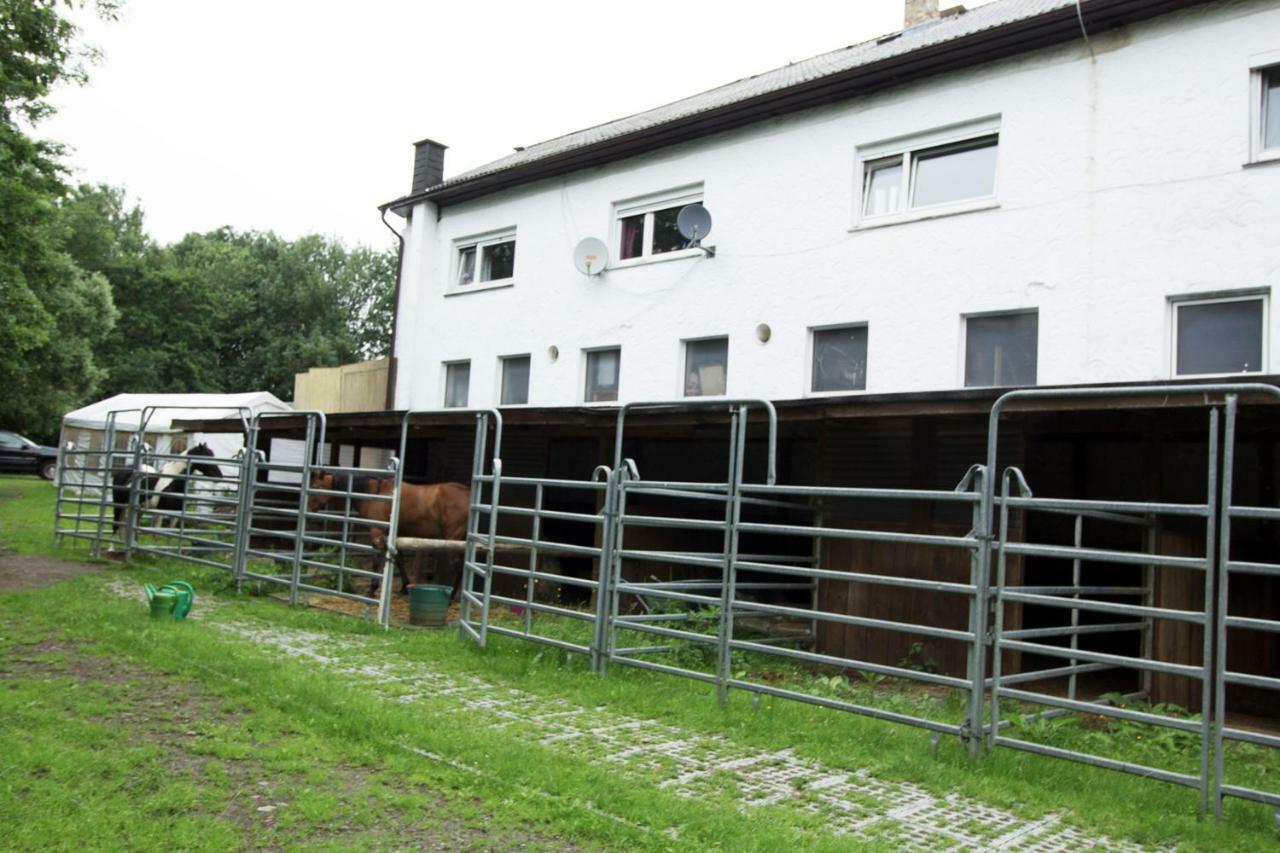 Bobenhausen Zwei Ferienwohnung Ulrichstein/ Bobenhausen II מראה חיצוני תמונה